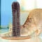 Pet Adobe Self-Grooming Cat Arch with Bristle Ring Brush and Base Groomer, Controlling Healthy Fur and Claws 560876JBM - alternate 4